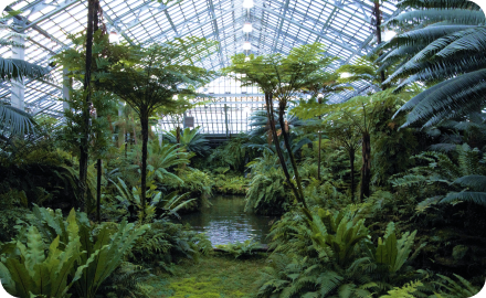 Дендрарий «Ман Воль»