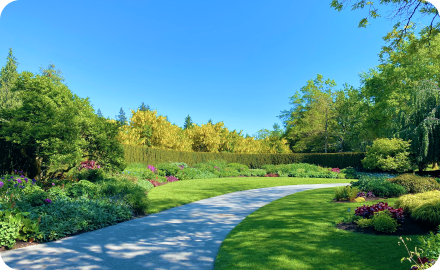 Сквер «Долина»