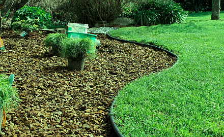 Бордюрная лента