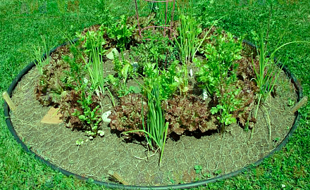 Бордюрная лента