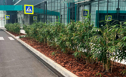 Федеральная территория "Сириус"